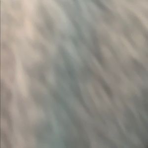 Meet your Posher, Maia